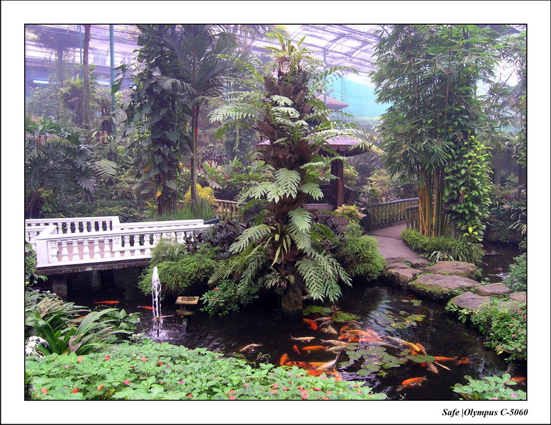 2005 - 08 - KUL - parc animalier  - 14.JPG